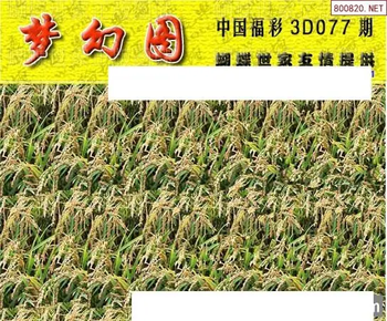 26077期: 3D蝴蝶世家蝴蝶彩图