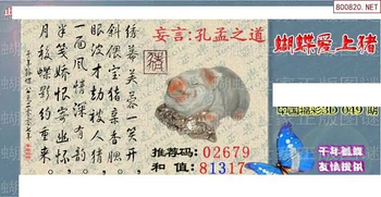 26049期: 3D蝴蝶世家蝴蝶彩图