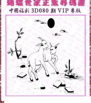 26080期: 3D蝴蝶世家蝴蝶彩图