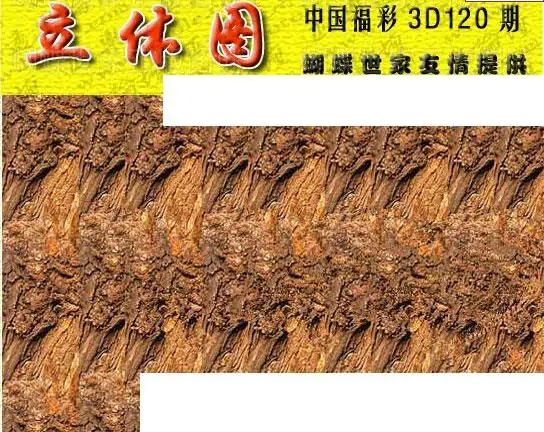 25120期: 3D蝴蝶世家蝴蝶彩图