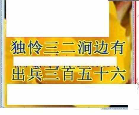 25056期: 三毛3D精品图谜