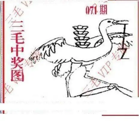 25071期: 三毛3D精品图谜