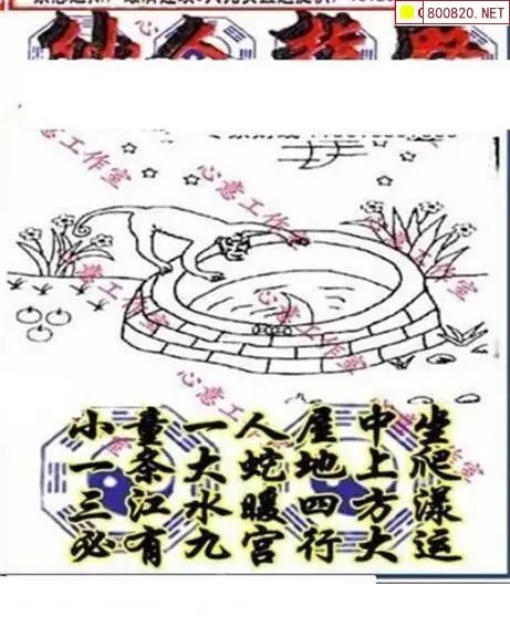 25180期: 三毛3D精品图谜