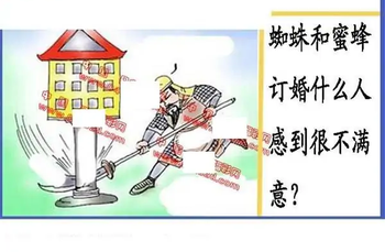 25320期: 福彩3D丹东全图分析