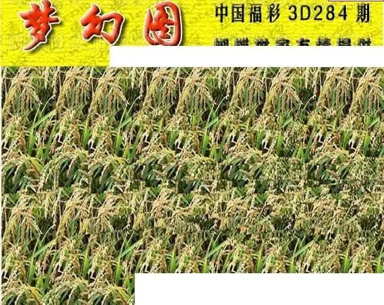 25284期: 3D蝴蝶世家蝴蝶彩图