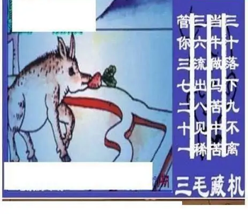 25320期: 三毛3D精品图谜
