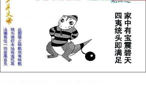 24326期: 白老3D杀码图版