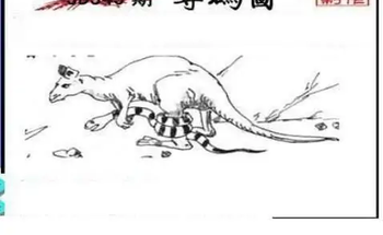 25345期: 三毛3D精品图谜