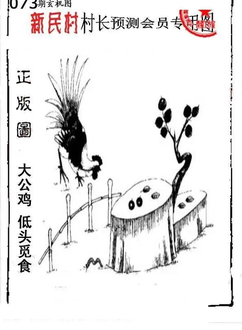 26073期: 老村长福彩3D天天图谜