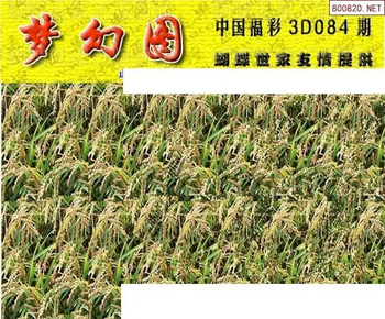 26084期: 3D蝴蝶世家蝴蝶彩图