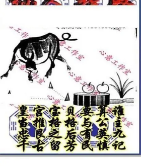 26092期: 三毛3D精品图谜