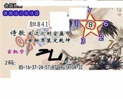 24116期: 白老3D杀码图版