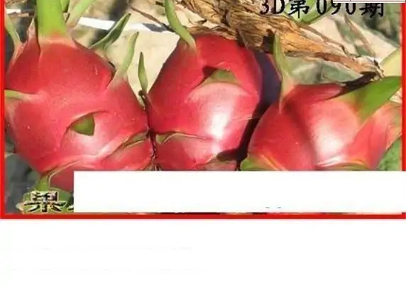 25090期: 白老3D杀码图版