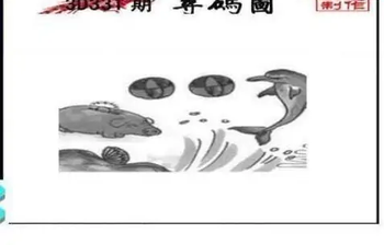 25331期: 三毛3D精品图谜