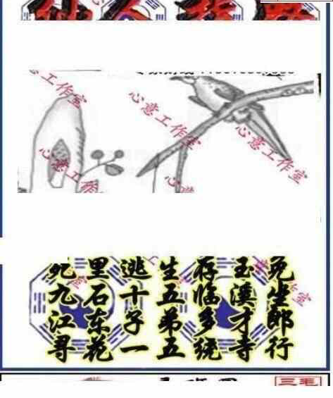 25056期: 三毛3D精品图谜