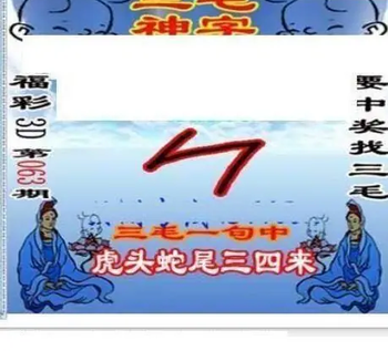 26063期: 三毛3D精品图谜