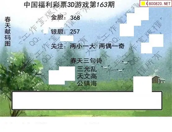 25163期: 大兵福彩3D黄金报图版