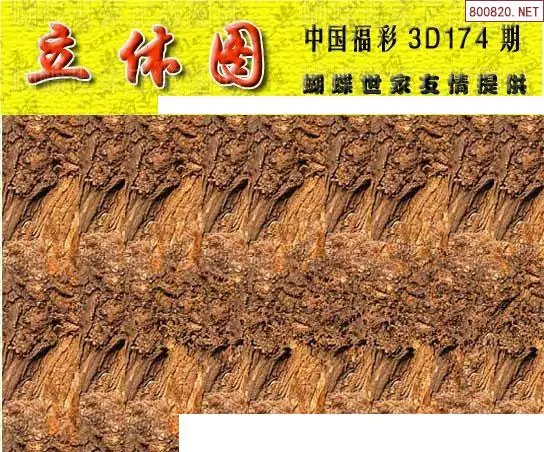 25174期: 3D蝴蝶世家蝴蝶彩图