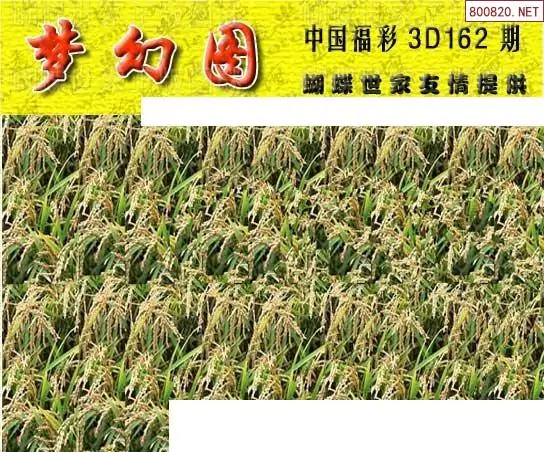 25162期: 3D蝴蝶世家蝴蝶彩图