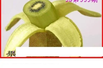 25333期: 白老3D杀码图版