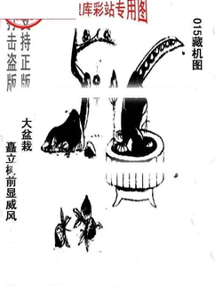 26015期: 老村长福彩3D天天图谜