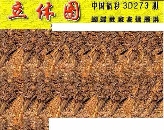 24273期: 3D蝴蝶世家蝴蝶彩图