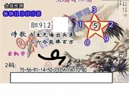 24258期: 白老3D杀码图版