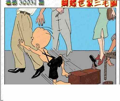 25037期: 3D蝴蝶世家蝴蝶彩图