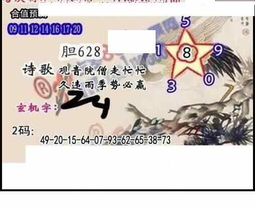 24119期: 白老3D杀码图版