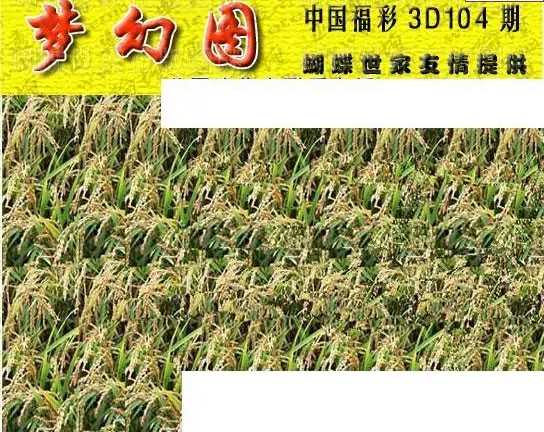 25104期: 3D蝴蝶世家蝴蝶彩图