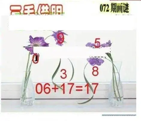 25072期: 三毛3D精品图谜
