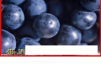 26017期: 白老3D杀码图版