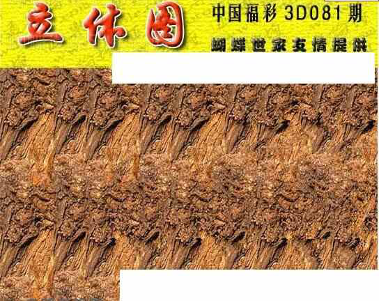 24081期: 3D蝴蝶世家蝴蝶彩图