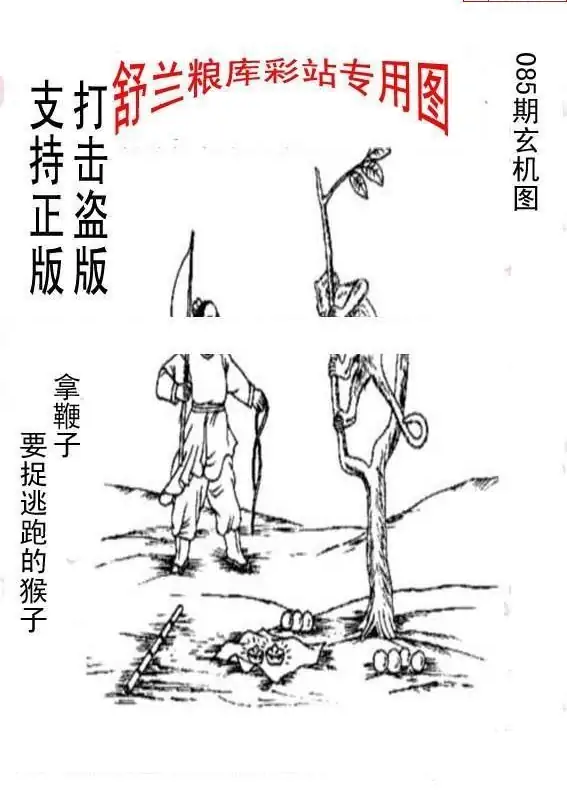 25085期: 老村长福彩3D天天图谜