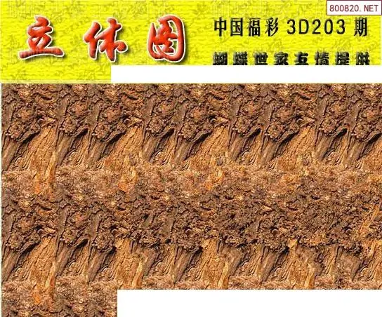 25203��: 3D�������Һ�����ͼ