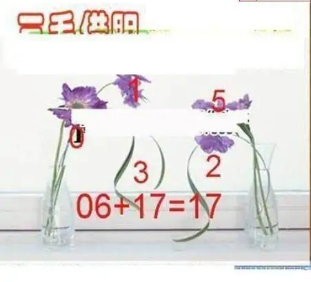 25078期: 三毛3D精品图谜