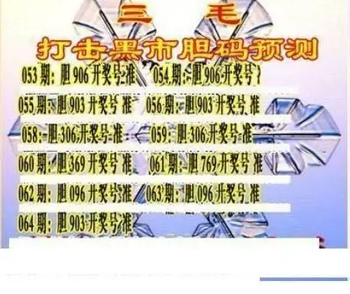 26064期: 三毛3D精品图谜