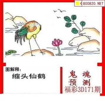 25171期: 白老3D杀码图版