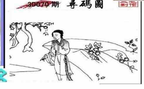 24070期: 三毛3D精品图谜