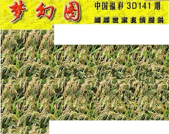 25141期: 3D蝴蝶世家蝴蝶彩图