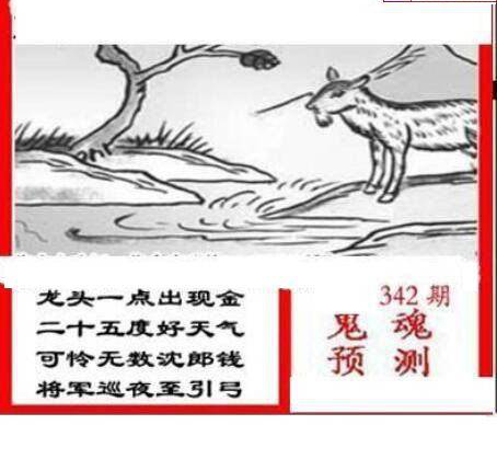 24342期: 三毛3D精品图谜