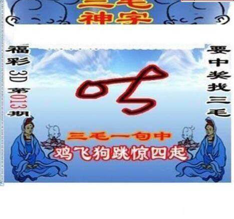 25013期: 三毛3D精品图谜