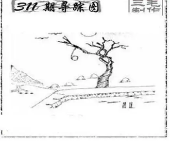 25311期: 三毛3D精品图谜