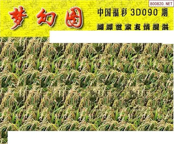 26090期: 3D蝴蝶世家蝴蝶彩图
