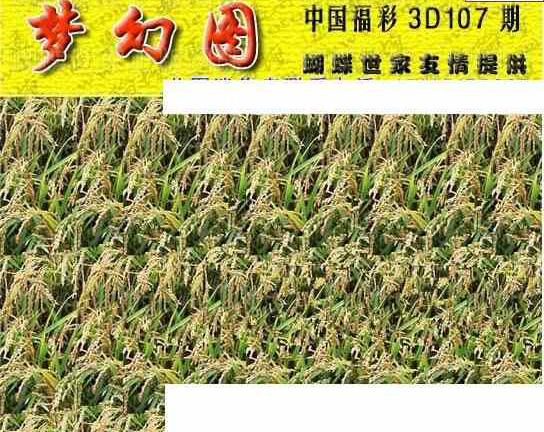 24107期: 3D蝴蝶世家蝴蝶彩图