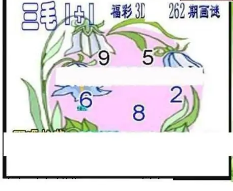 25262期: 三毛3D精品图谜