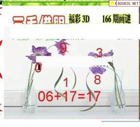 25166期: 三毛3D精品图谜