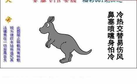 25061期: 白老3D杀码图版