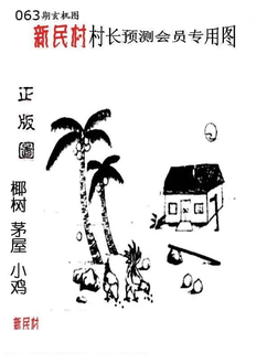 26063期: 老村长福彩3D天天图谜