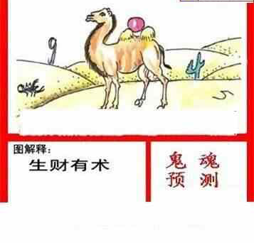 24100期: 白老3D杀码图版